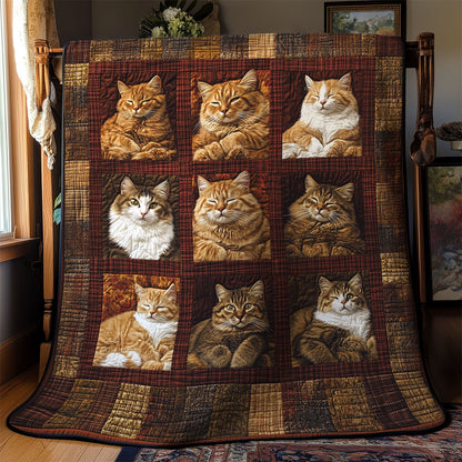 Fluffy Cat WY1303052CL Quilt