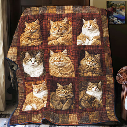 Fluffy Cat WY1303052CL Quilt